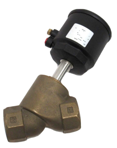 WhatsApp Image 2025-10-12 at 10.33.09 PM (3)