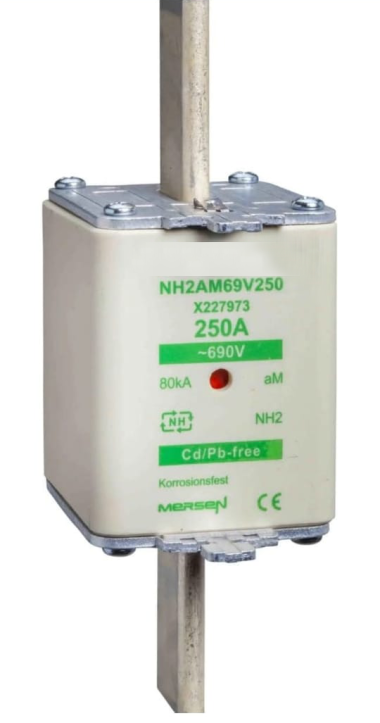 WhatsApp Image 2025-10-12 at 12.18.37 AM (6)