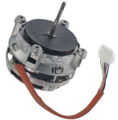 WhatsApp Image 2025-10-12 at 5.11.35 PM (3)