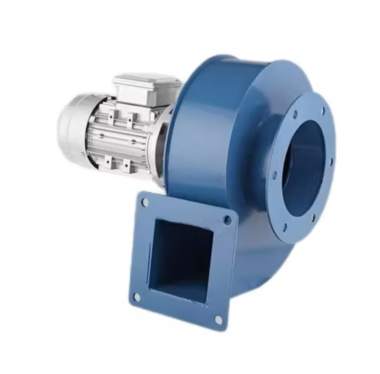 WhatsApp Image 2025-10-13 at 5.07.22 PM (3)