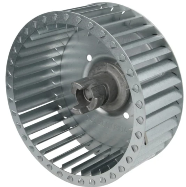 WhatsApp Image 2025-10-13 at 5.07.24 PM